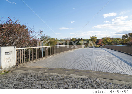 武蔵国分寺公園のふれあい橋（東京都国分寺市） 48492394