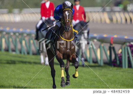 東京競馬場#8 東京競馬場#8 48492459