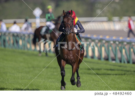 東京競馬場#9 48492460