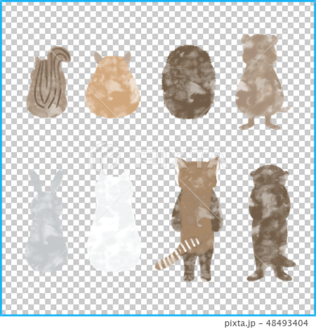 Cute animal back behind Borderless material 48493404
