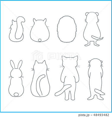 How to Draw Animals Step by Step 15279426 Vector Art at Vecteezy