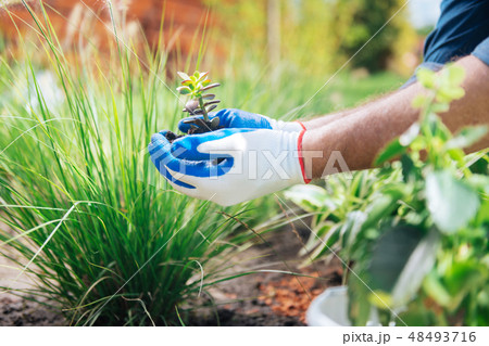 Man wearing blue shirt feeling excited while having first experience in horticulture Man wearing blue shirt feeling excited while having first experience in horticulture 48493716