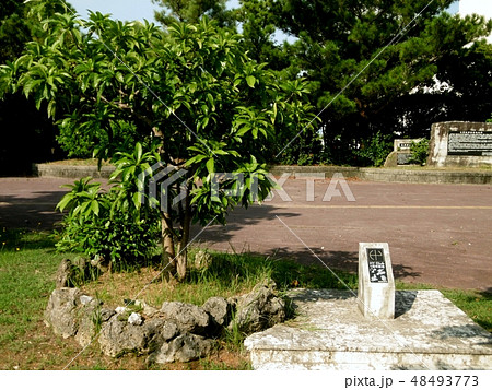 うるま市与那城支所 48493773