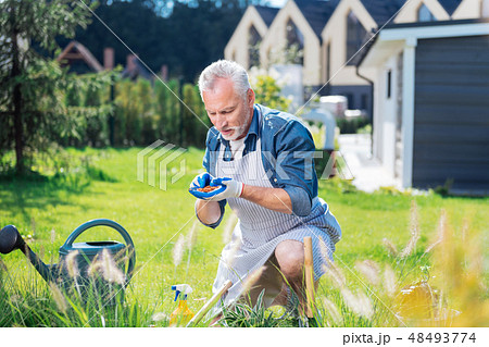 Bearded mature husband helping his family while enriching the soil in the garden 48493774
