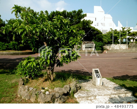 うるま市与那城支所 48493775