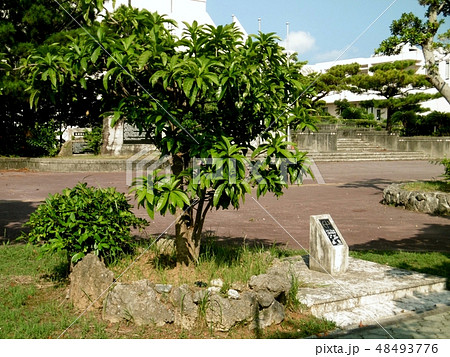 うるま市与那城支所 48493776