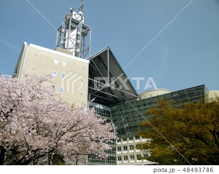 富山市役所と桜 富山市役所と桜 48493786