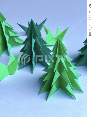 森イメージ 48494120