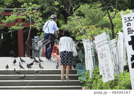 鶴岡八幡宮 48494167