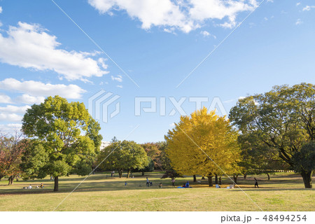 武蔵国分寺公園のこもれび広場（東京都国分寺市） 48494254