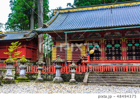 新緑の日光東照宮　世界遺産　【栃木県日光市】 48494375