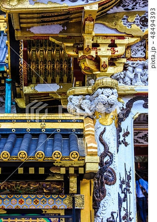 新緑の日光東照宮 世界遺産 【栃木県日光市】 新緑の日光東照宮 世界遺産 【栃木県日光市】 48494393