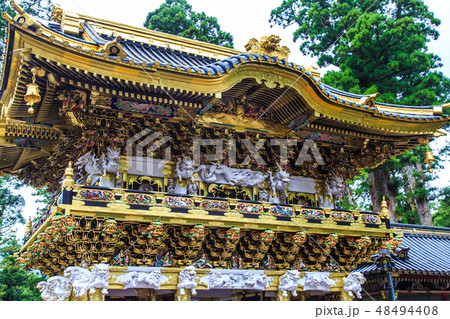 新緑の日光東照宮 世界遺産 【栃木県日光市】 新緑の日光東照宮 世界遺産 【栃木県日光市】 48494408