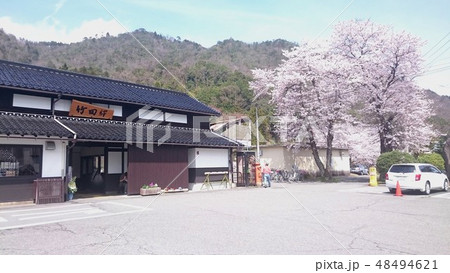 竹田駅と桜 竹田駅と桜 48494621