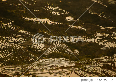 日没 農業 基盤 48495117