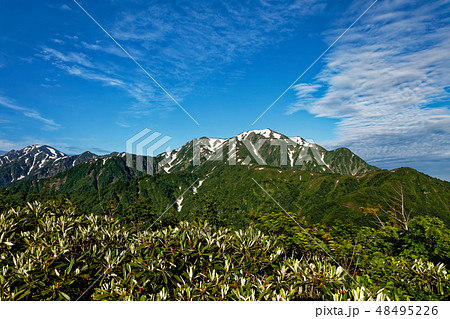 道行山から見る残雪の越後駒ヶ岳と中ノ岳 48495226