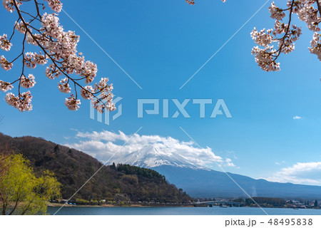 富士山 河口湖 満開の桜 春のイメージ 山梨県 富士山 河口湖 満開の桜 春のイメージ 山梨県 48495838
