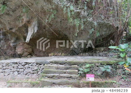斎場御嶽 寄満 48496239