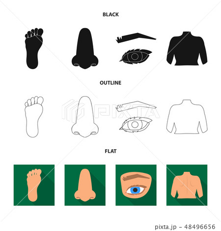 Vector design of body and part symbol....のイラスト素材 [48496656] - PIXTA