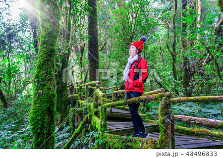 Tourist walking in Ang ka nature trail Tourist walking in Ang ka nature trail 48496833