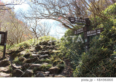雲仙岳登山路（鬼人谷口） 48496860
