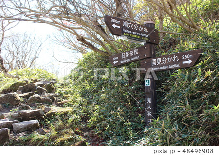 雲仙岳登山路（鬼人谷口） 48496908