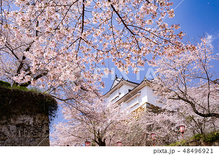 桜咲く津山城備中櫓 桜咲く津山城備中櫓 48496921