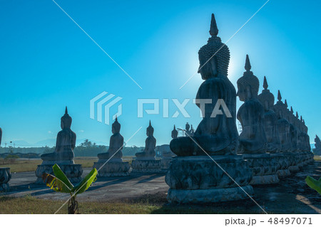 a lot of big Buddha statues in blue sky 48497071