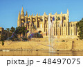 Ancient Cathedral in Palma de Mallorca 48497075