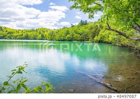 新緑のオンネトー 48497087