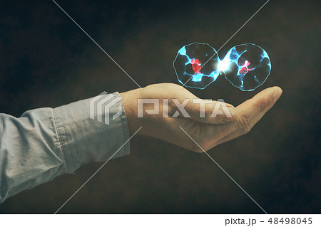 Human hand holding cell dividing.  48498045