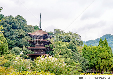 瑠璃光寺 五重塔 48498518