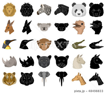 Wild animal cartoon,black icons in set collection for design. Mammal and bird vector symbol stock Wild animal cartoon,black icons in set collection for design. Mammal and bird vector symbol stock 48498833