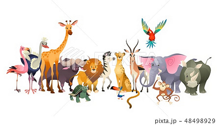 Wild animals. Safari wildlife africa happy animal lion zebra elephant rhino parrot giraffe ostrich 48498929