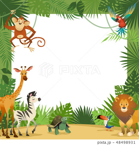 Jungle Animals Card Frame Animal Tropical のイラスト素材