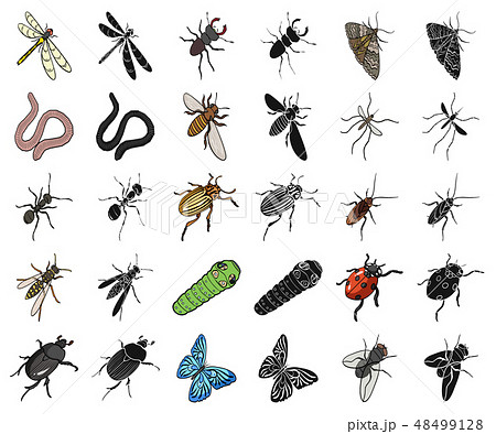 Different kinds of insects cartoon,black icons in set collection for design. Insect arthropod vector 48499128