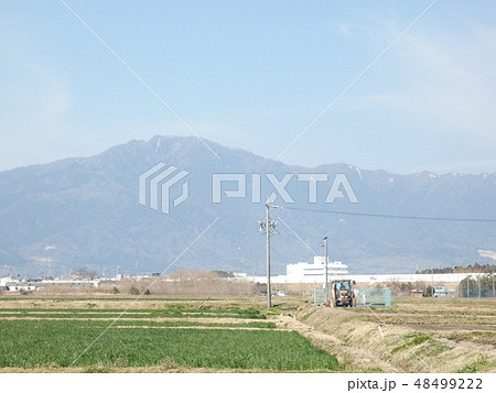 麦畑と春霞の鈴鹿山脈　三重県　菰野町 48499222
