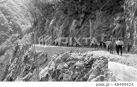 昔の写真 昭和38年 足尾の庚申山荘に向かうハイキンググループ 昔の写真 昭和38年 足尾の庚申山荘に向かうハイキンググループ 48499424
