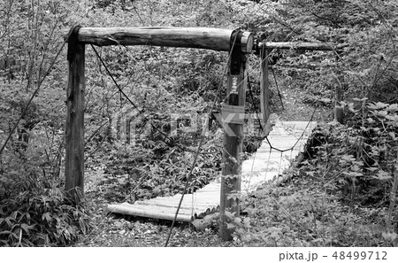 昔の写真　昭和38年　足尾から日光の半月峠に向かう道より撮影 48499712