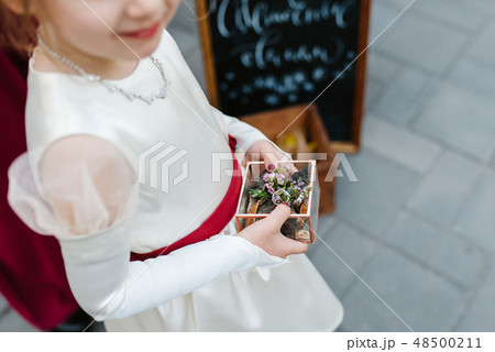 wedding rings 48500211