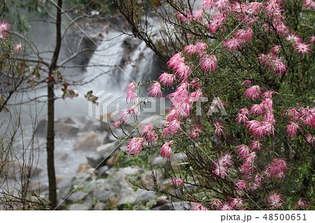 台湾　北投温泉滝 48500651