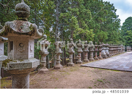 史跡 萩藩主毛利家墓所 48501039