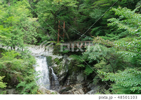みたらい渓谷のみたらいの滝と吊り橋 48501103