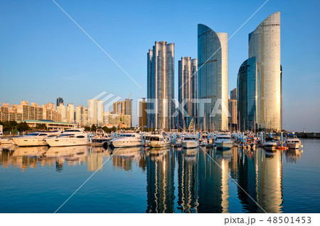 Busan marina with yachts on sunset, South Korea Busan marina with yachts on sunset, South Korea 48501453