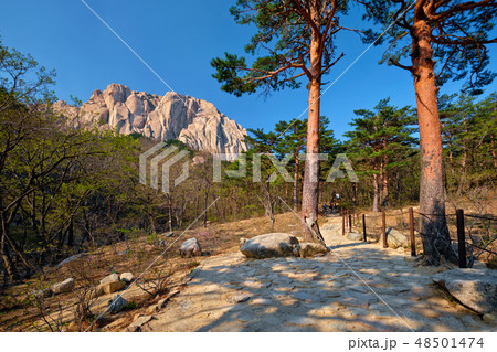 Ulsanbawi rock in Seoraksan National Park, South Korea 48501474
