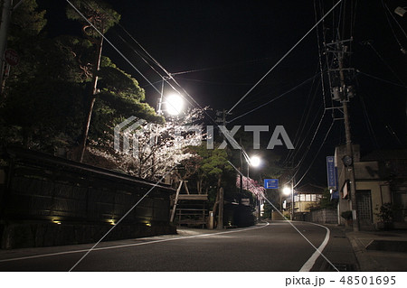 春の岩室温泉郷にて 春の岩室温泉郷にて 48501695