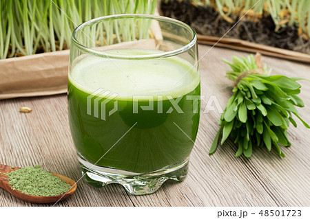 A glass of barley grass juice with young barley A glass of barley grass juice with young barley 48501723