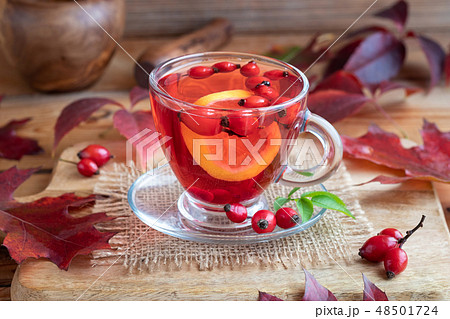 A cup of rose hip tea with fresh rose hips 48501724