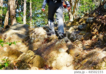 岩が多い登山道 48502155