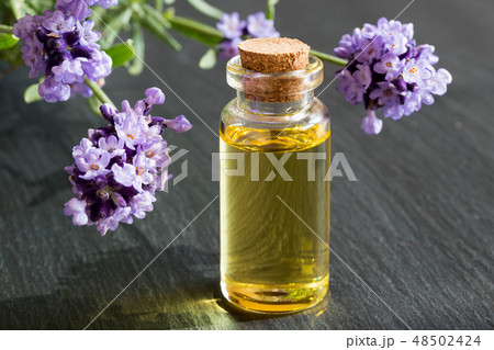 A bottle of lavender essential oil with lavender A bottle of lavender essential oil with lavender 48502424